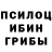 Галлюциногенные грибы Psilocybe VKgro Up