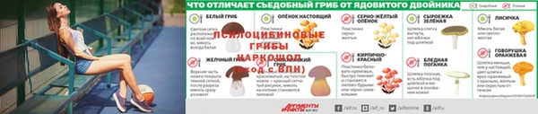 jwh Апатиты