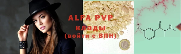 прущие грибы Зерноград