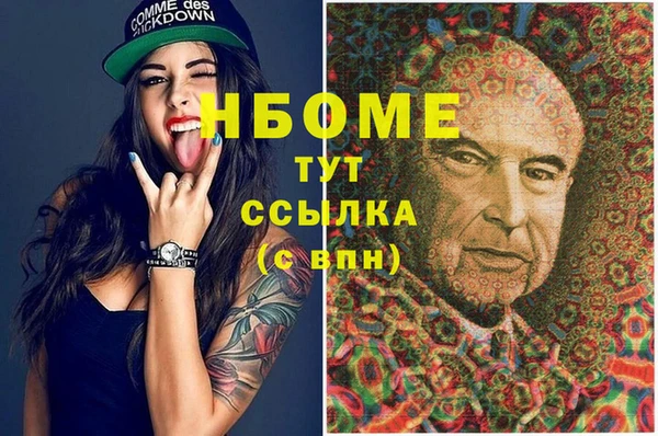 шишки Ельня