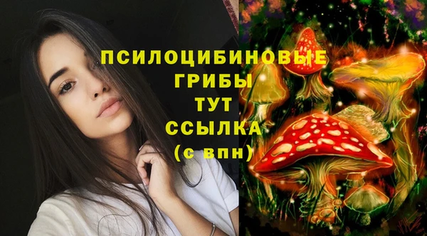 мяу мяу мука Новодвинск