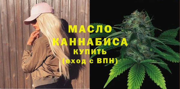 шишки Ельня