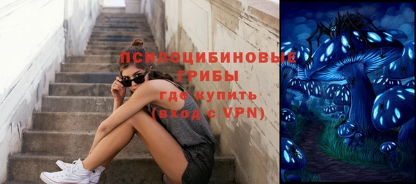 бошки Архангельск