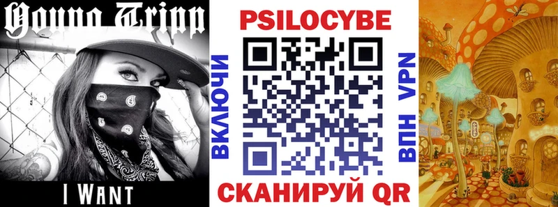 Галлюциногенные грибы GOLDEN TEACHER  Губаха 
