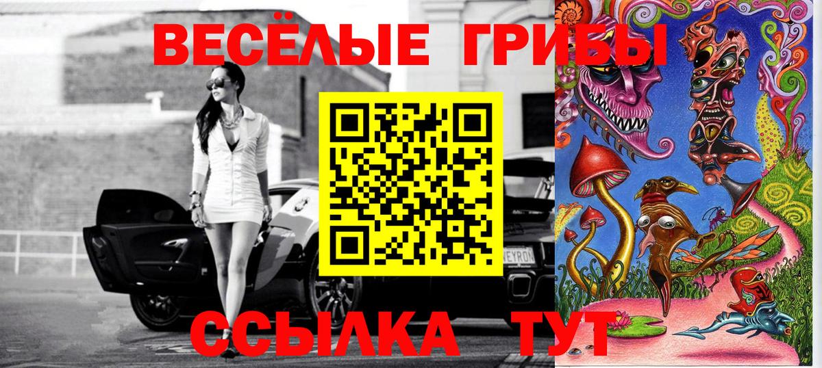 Галлюциногенные грибы Cubensis Губаха