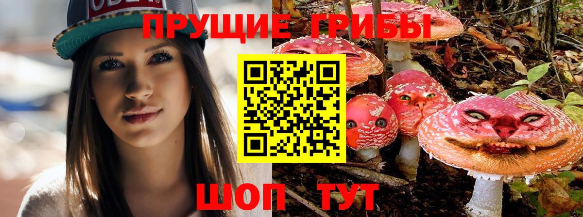 Галлюциногенные грибы GOLDEN TEACHER  Вход с VPN  Губаха 