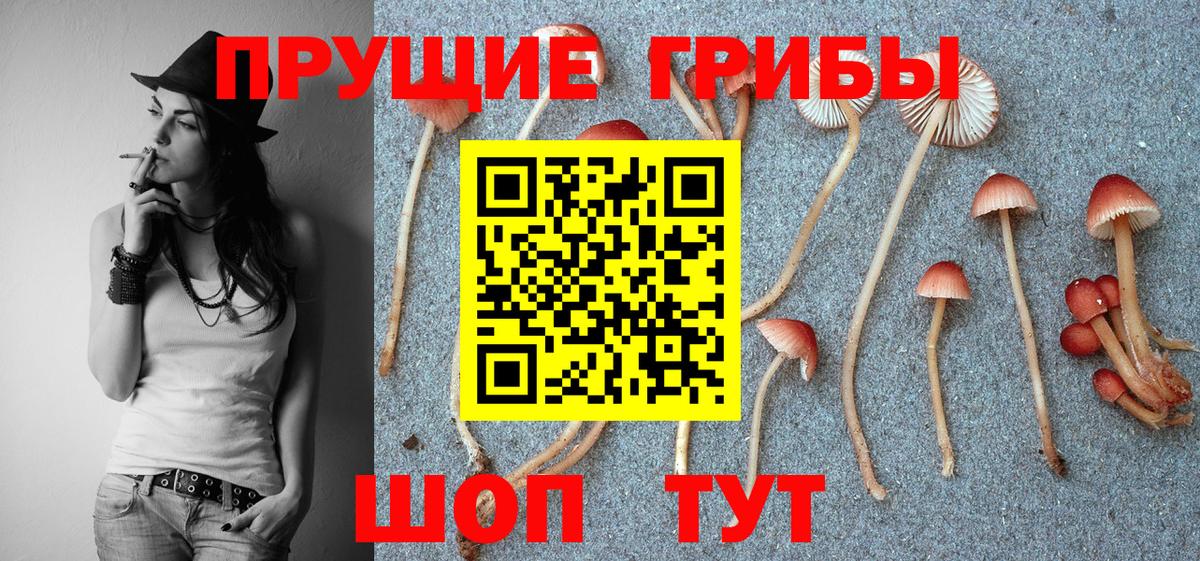 Галлюциногенные грибы мухоморы  Губаха 